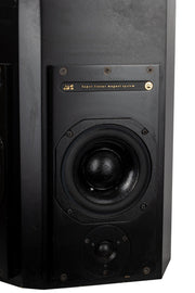 ATC Loudspeakers Custom Passive Speaker with Amplifier and Cables