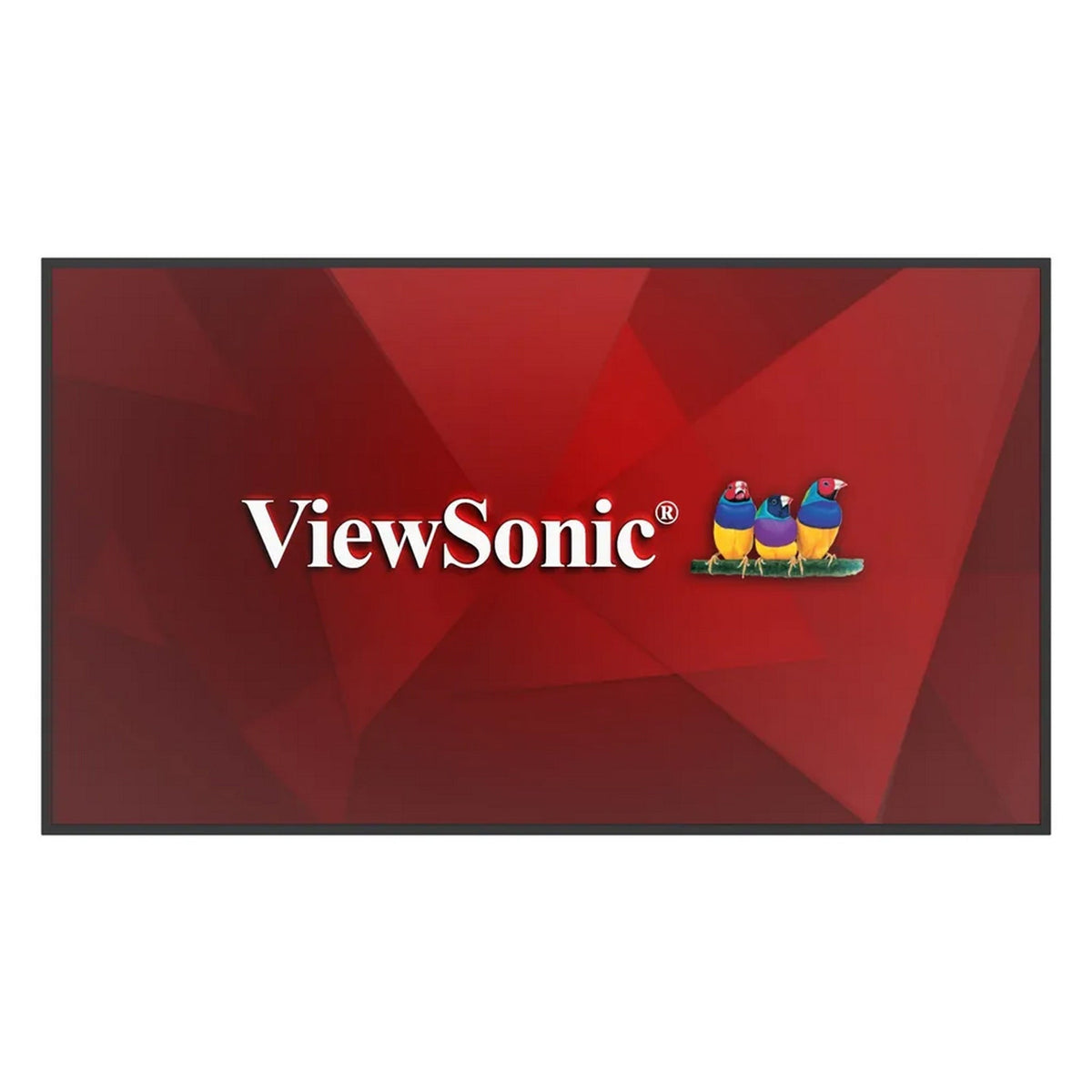 ViewSonic CDE6531 65" Smart Commercial Display