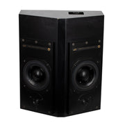 ATC Loudspeakers Custom Passive Speaker with Amplifier and Cables
