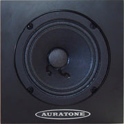Auratone 5C Super Sound Cubes with A2-30 Amp Bundle - Black