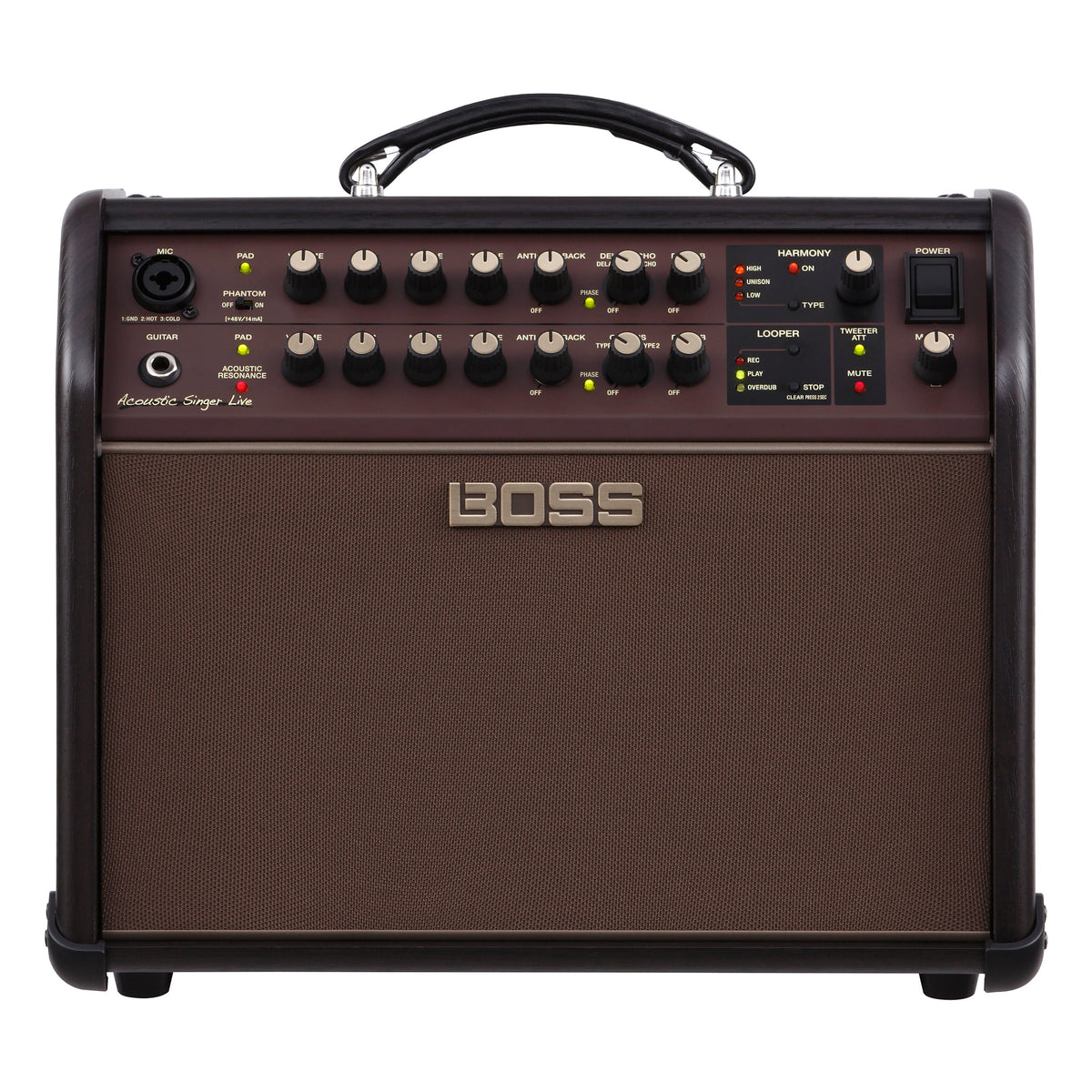 Boss Acoustic Singer Live