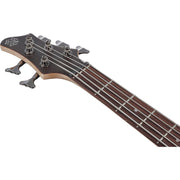 Ibanez BTB605 BTB Standard 5-String Electric Bass - Transparent Gray Flat