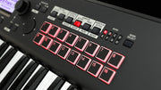 Korg Kross 2 88-Key Synthesizer Workstation - Matte Black w/ Adjustable Bench