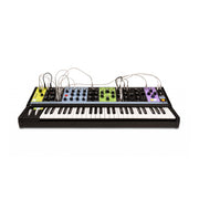 Moog Matriarch Patchable 4-note Paraphonic Analog Synthesizer