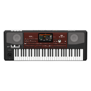Korg Pa700 Oriental 61-key Arranger Workstation