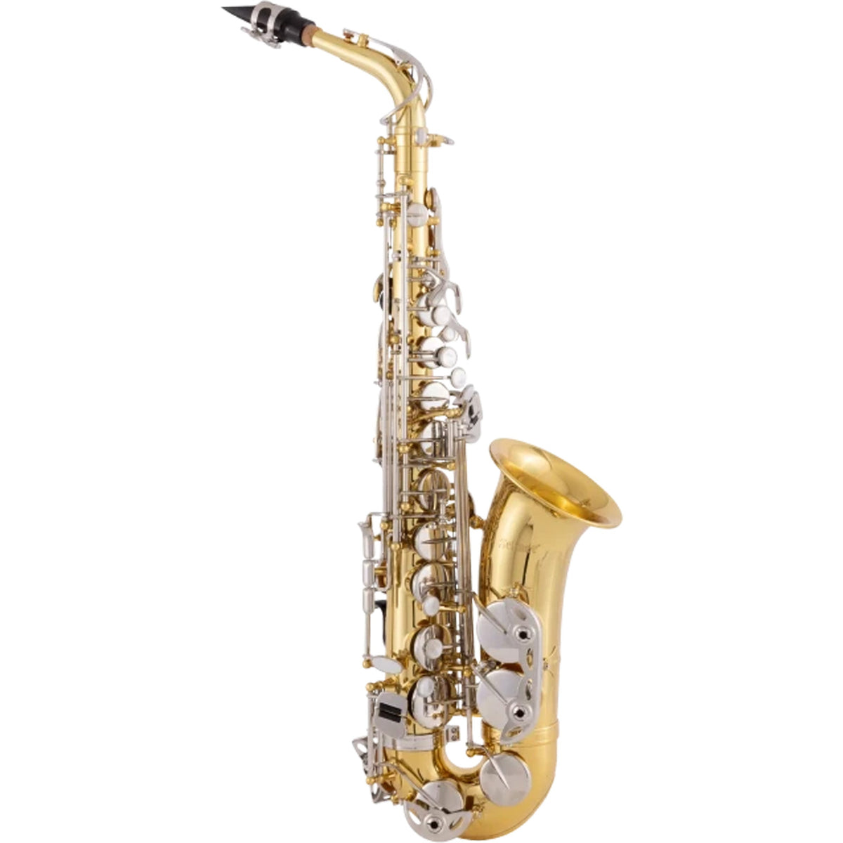 Selmer SAS202 Student Eb Alto Saxophone