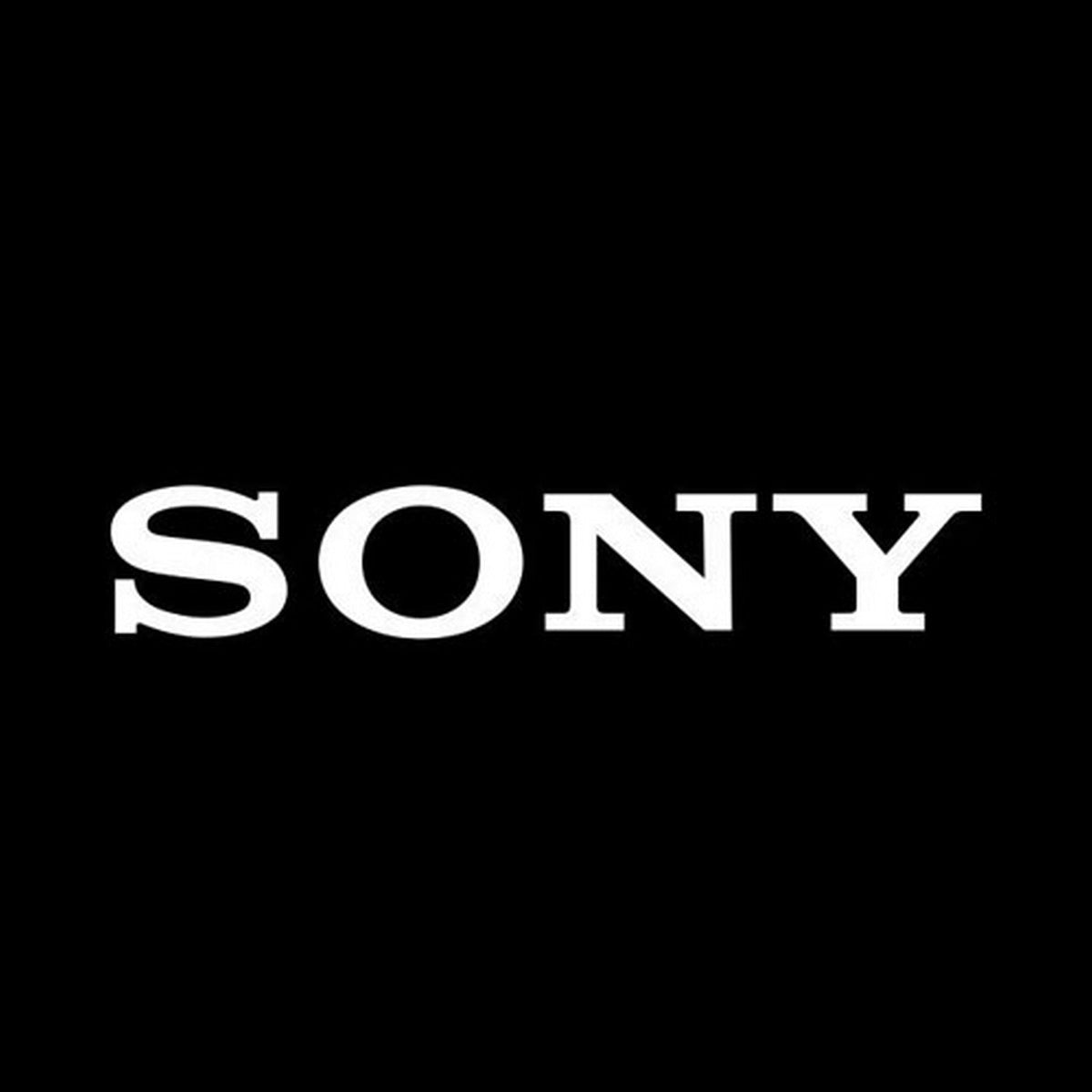 Sony Megapixel Cloud Annual License, Single