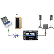 Radial Engineering BT-Pro V2 BlueTooth Wireless Receiver