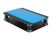 Mesanovic Isolation/Decoupling Platform for RTM10 Monitor - Pair